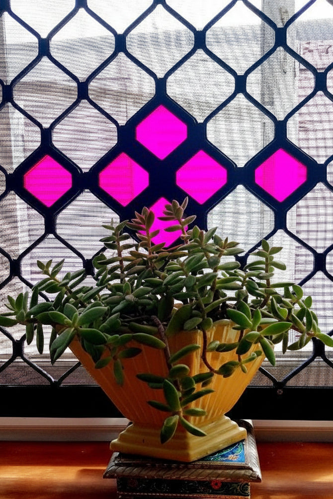 Diamond Dazzler  (6 pack)  -  fluor Pink